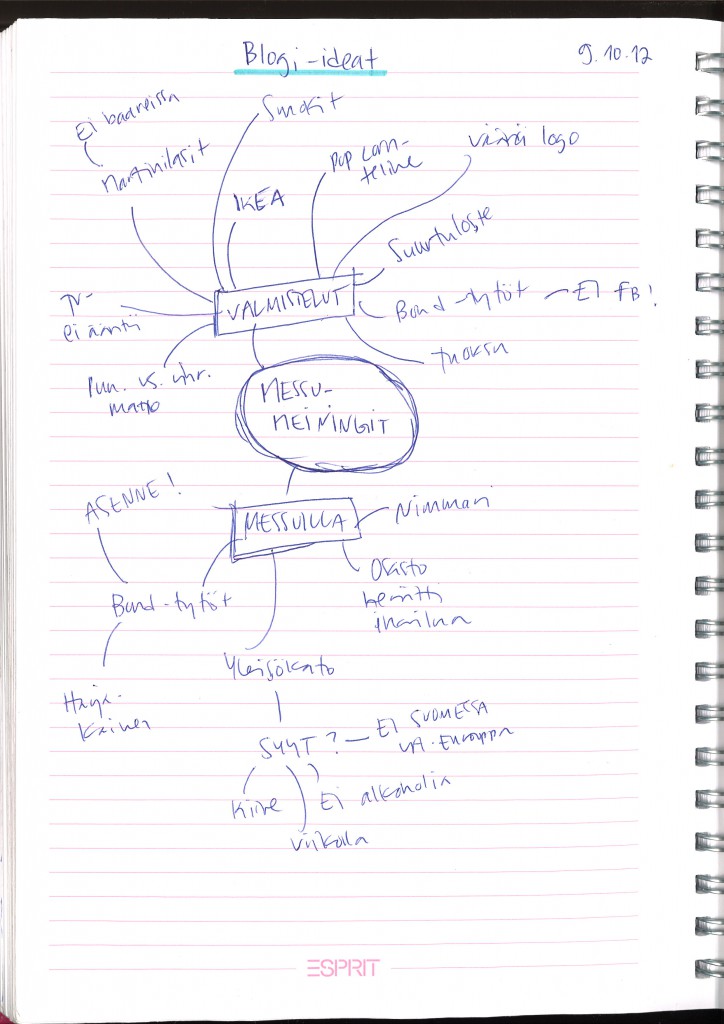 Messujen jälkimainingeista syntyi pitkä blogiteksti.