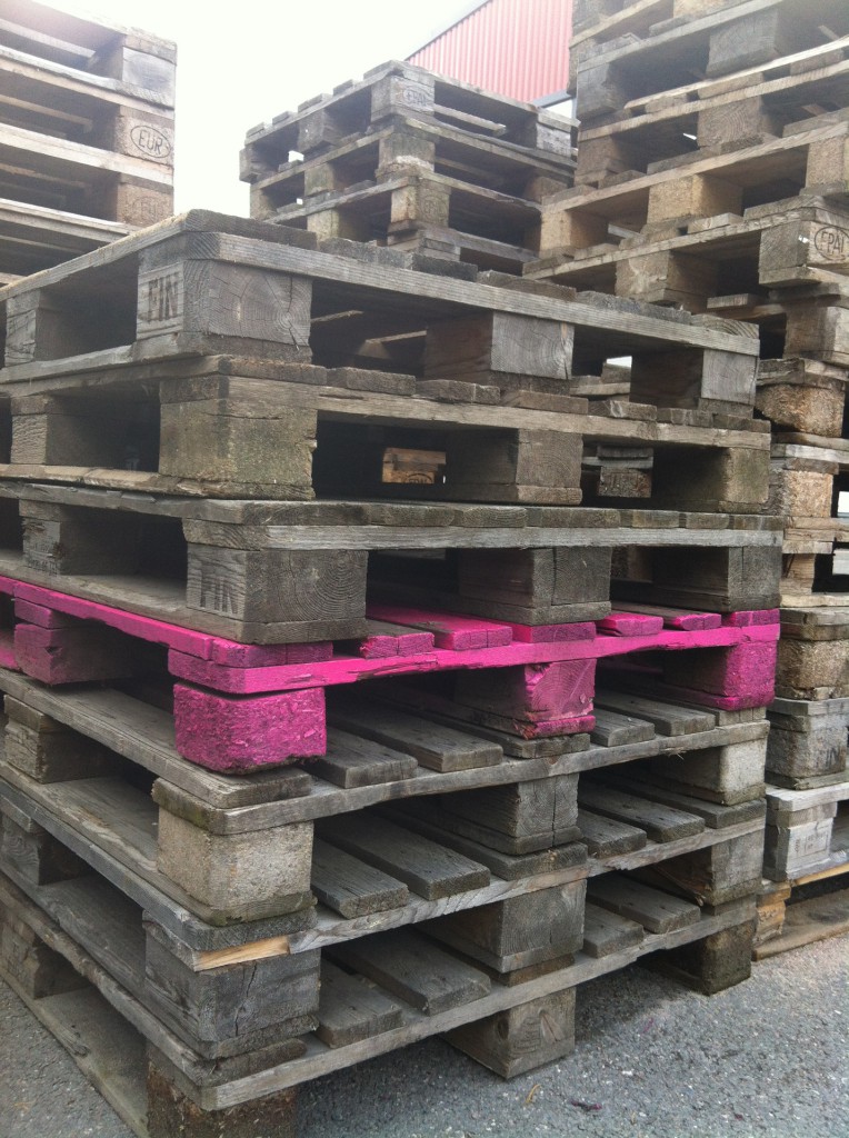 Päivän pinkki 12/19.