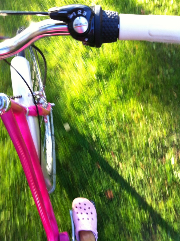 Päivän pinkki 5/19.